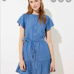 Chambray Tie Waist Flutter Dress